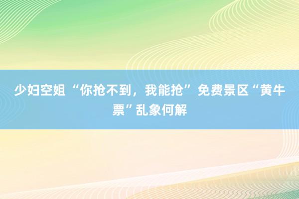 少妇空姐 “你抢不到，我能抢” 免费景区“黄牛票”乱象何解