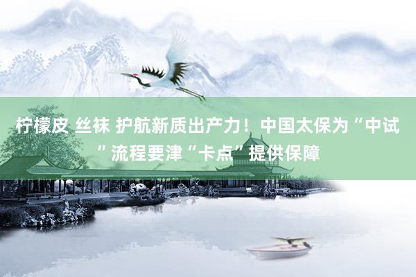 柠檬皮 丝袜 护航新质出产力！中国太保为“中试”流程要津“卡点”提供保障