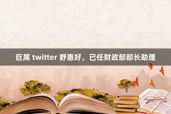 巨屌 twitter 舒惠好，已任财政部部长助理