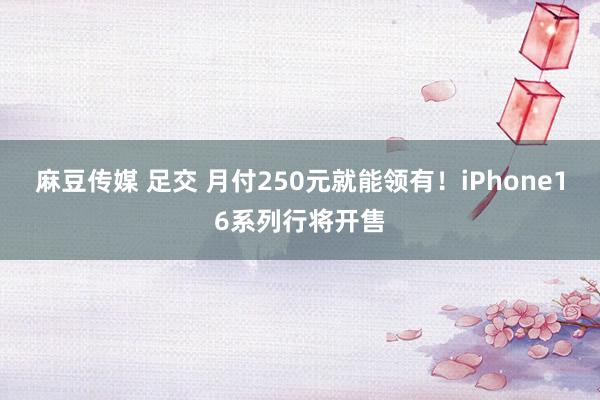 麻豆传媒 足交 月付250元就能领有！iPhone16系列行将开售