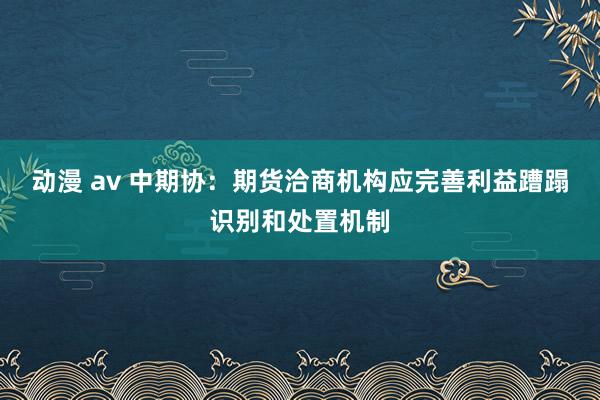 动漫 av 中期协：期货洽商机构应完善利益蹧蹋识别和处置机制