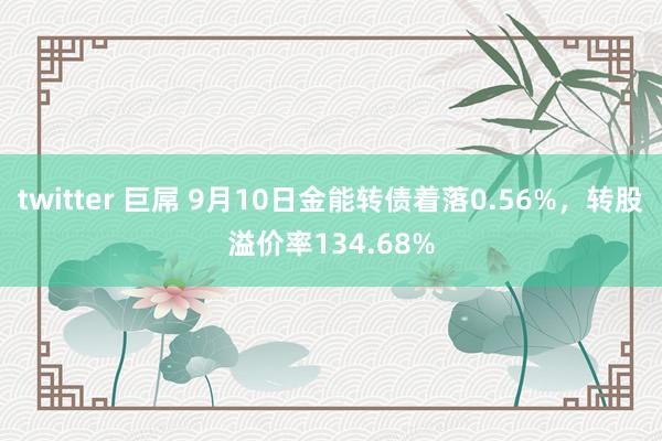 twitter 巨屌 9月10日金能转债着落0.56%，转股溢价率134.68%