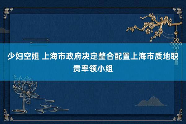 少妇空姐 上海市政府决定整合配置上海市质地职责率领小组