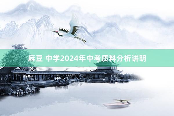 麻豆 中学2024年中考质料分析讲明