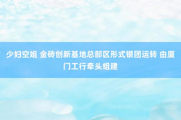 少妇空姐 金砖创新基地总部区形式银团运转 由厦门工行牵头组建