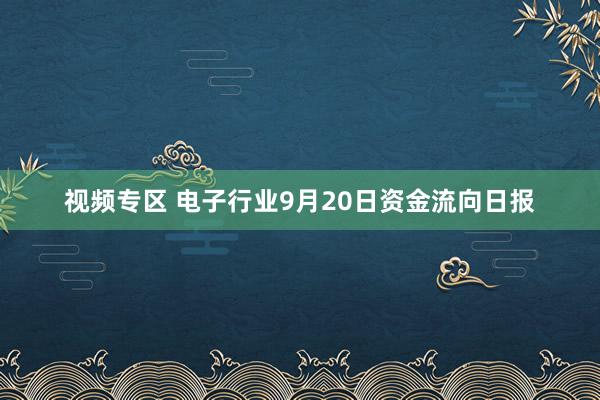 视频专区 电子行业9月20日资金流向日报