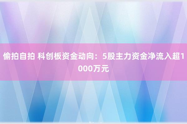 偷拍自拍 科创板资金动向：5股主力资金净流入超1000万元