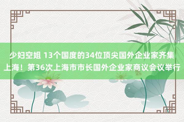 少妇空姐 13个国度的34位顶尖国外企业家齐集上海！第36次上海市市长国外企业家商议会议举行