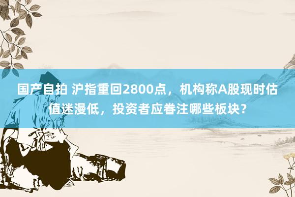 国产自拍 沪指重回2800点，机构称A股现时估值迷漫低，投资者应眷注哪些板块？