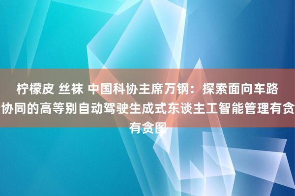 柠檬皮 丝袜 中国科协主席万钢：探索面向车路云协同的高等别自动驾驶生成式东谈主工智能管理有贪图