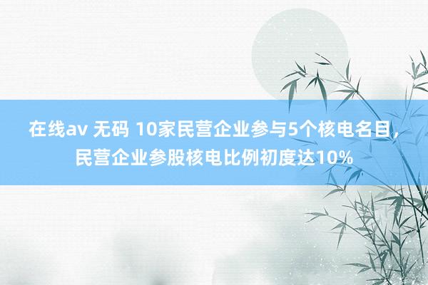 在线av 无码 10家民营企业参与5个核电名目，民营企业参股核电比例初度达10%