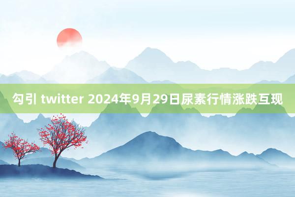 勾引 twitter 2024年9月29日尿素行情涨跌互现