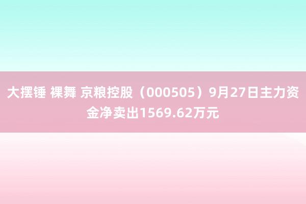 大摆锤 裸舞 京粮控股（000505）9月27日主力资金净卖出1569.62万元