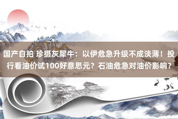 国产自拍 珍摄灰犀牛：以伊危急升级不成淡薄！投行看油价试100好意思元？石油危急对油价影响？