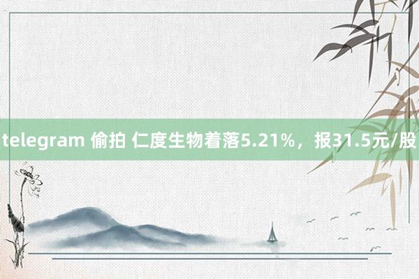 telegram 偷拍 仁度生物着落5.21%，报31.5元/股