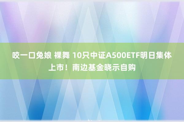 咬一口兔娘 裸舞 10只中证A500ETF明日集体上市！南边基金晓示自购