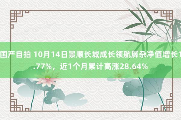 国产自拍 10月14日景顺长城成长领航羼杂净值增长1.77%，近1个月累计高涨28.64%