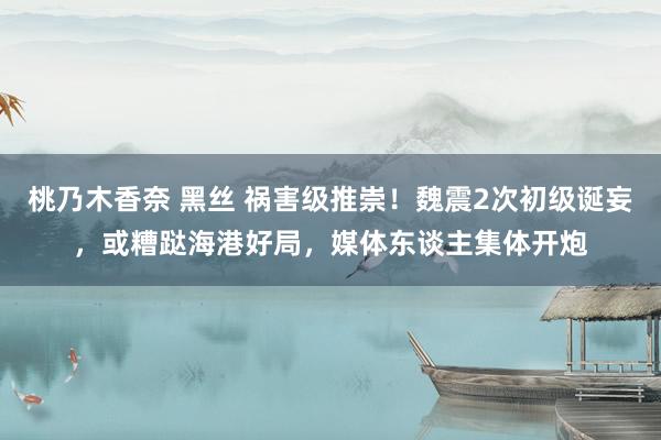 桃乃木香奈 黑丝 祸害级推崇！魏震2次初级诞妄，或糟跶海港好局，媒体东谈主集体开炮