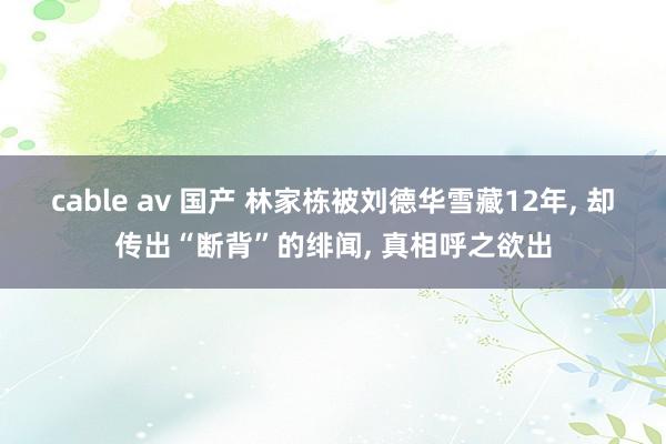 cable av 国产 林家栋被刘德华雪藏12年, 却传出“断背”的绯闻, 真相呼之欲出