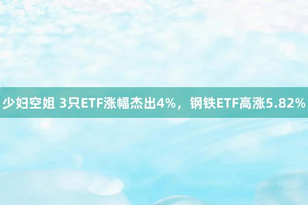 少妇空姐 3只ETF涨幅杰出4%，钢铁ETF高涨5.82%