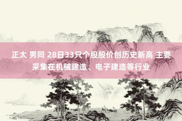 正太 男同 28日33只个股股价创历史新高 主要采集在机械建造、电子建造等行业