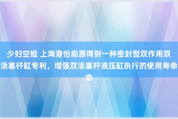 少妇空姐 上海港怡能源得到一种密封型双作用双活塞杆缸专利，增强双活塞杆液压缸执行的使用寿命