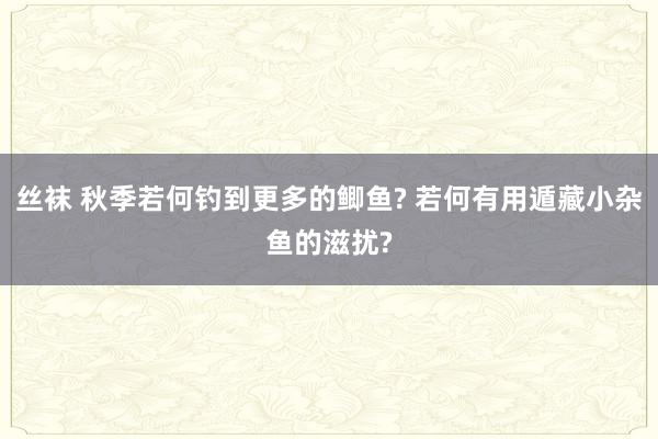 丝袜 秋季若何钓到更多的鲫鱼? 若何有用遁藏小杂鱼的滋扰?