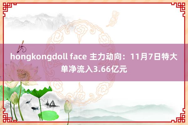 hongkongdoll face 主力动向：11月7日特大单净流入3.66亿元