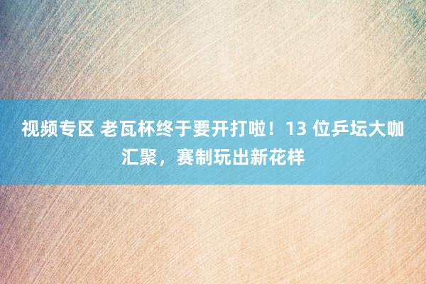 视频专区 老瓦杯终于要开打啦！13 位乒坛大咖汇聚，赛制玩出新花样