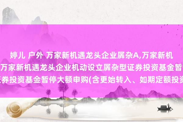 婷儿 户外 万家新机遇龙头企业羼杂A，万家新机遇龙头企业羼杂C: 对于万家新机遇龙头企业机动设立羼杂型证券投资基金暂停大额申购(含更始转入、如期定额投资)业务的公告