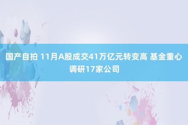 国产自拍 11月A股成交41万亿元转变高 基金重心调研17家公司