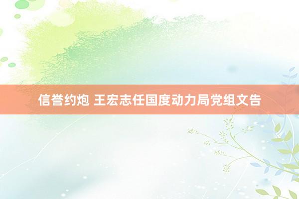 信誉约炮 王宏志任国度动力局党组文告