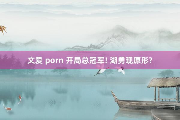 文爱 porn 开局总冠军! 湖勇现原形?