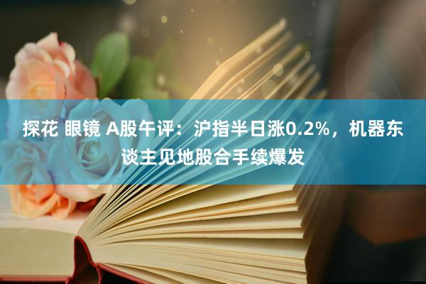 探花 眼镜 A股午评：沪指半日涨0.2%，机器东谈主见地股合手续爆发