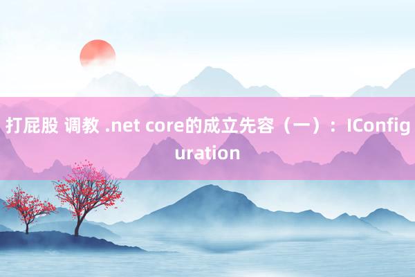 打屁股 调教 .net core的成立先容（一）：IConfiguration