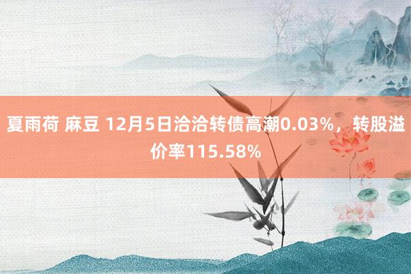 夏雨荷 麻豆 12月5日洽洽转债高潮0.03%，转股溢价率115.58%