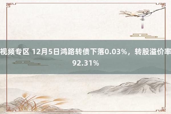 视频专区 12月5日鸿路转债下落0.03%，转股溢价率92.31%