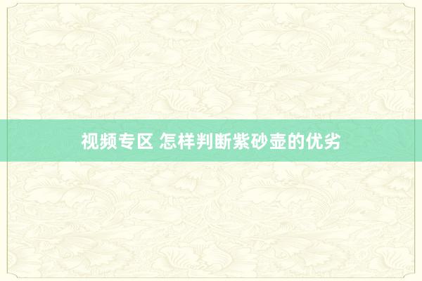 视频专区 怎样判断紫砂壶的优劣