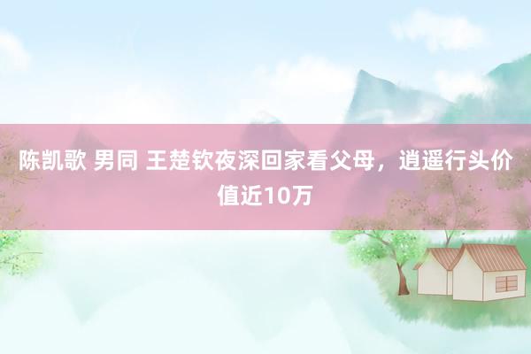 陈凯歌 男同 王楚钦夜深回家看父母，逍遥行头价值近10万