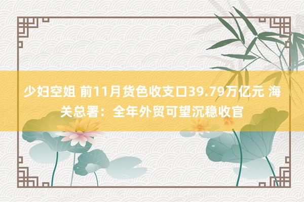 少妇空姐 前11月货色收支口39.79万亿元 海关总署：全年外贸可望沉稳收官