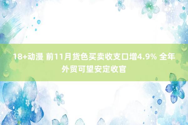 18+动漫 前11月货色买卖收支口增4.9% 全年外贸可望安定收官