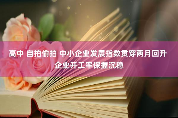 高中 自拍偷拍 中小企业发展指数贯穿两月回升 企业开工率保握沉稳