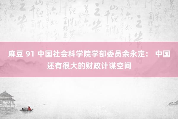 麻豆 91 中国社会科学院学部委员余永定： 中国还有很大的财政计谋空间