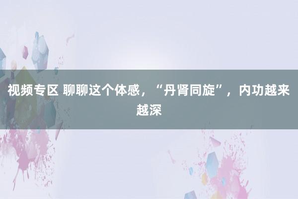 视频专区 聊聊这个体感，“丹肾同旋”，内功越来越深