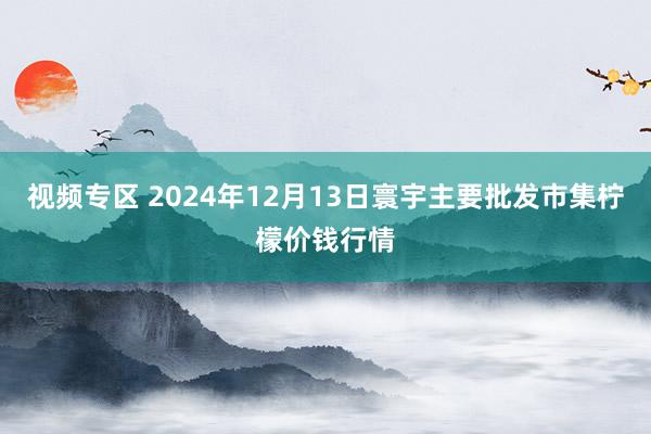 视频专区 2024年12月13日寰宇主要批发市集柠檬价钱行情