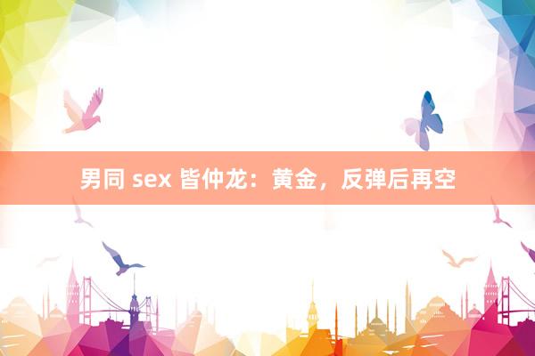 男同 sex 皆仲龙：黄金，反弹后再空