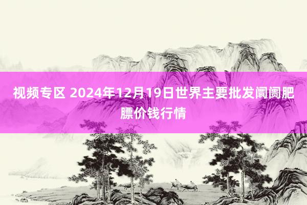 视频专区 2024年12月19日世界主要批发阛阓肥膘价钱行情