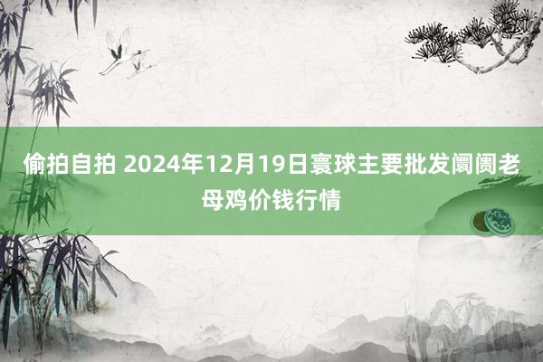 偷拍自拍 2024年12月19日寰球主要批发阛阓老母鸡价钱行情