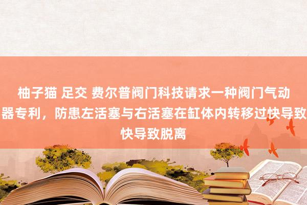 柚子猫 足交 费尔普阀门科技请求一种阀门气动现实器专利，防患左活塞与右活塞在缸体内转移过快导致脱离