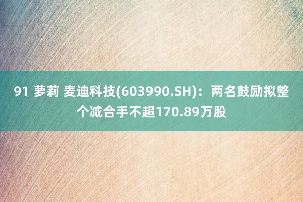 91 萝莉 麦迪科技(603990.SH)：两名鼓励拟整个减合手不超170.89万股